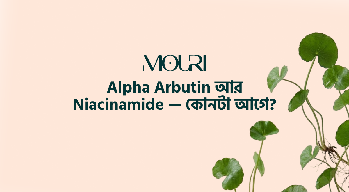 Alpha Arbutin আর Niacinamide — কোনটা আগে?