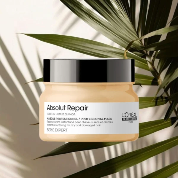 L’Oreal Professionnel Absolut Repair Hair Mask 250g